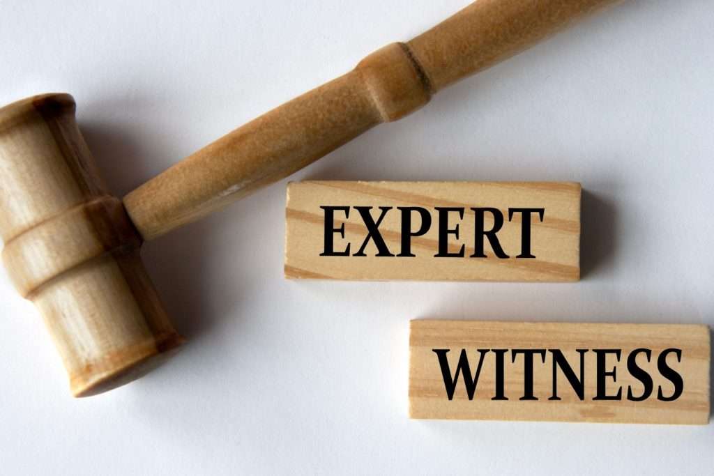 Expert Witness